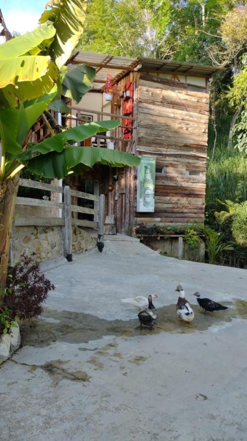 Hotel Selva Verde Salento Dış mekan fotoğraf