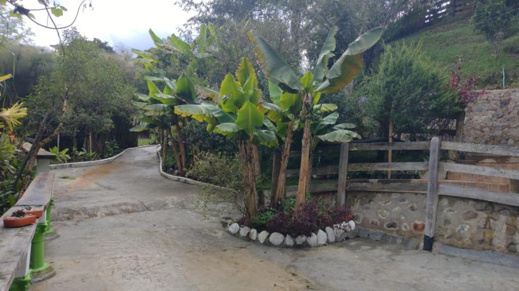 Hotel Selva Verde Salento Dış mekan fotoğraf