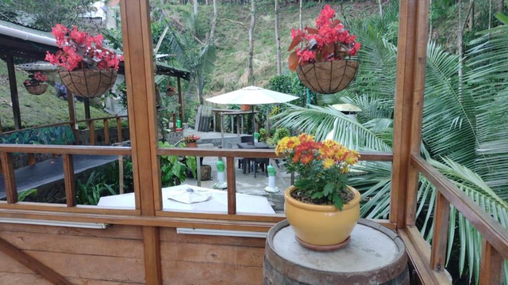 Hotel Selva Verde Salento Dış mekan fotoğraf